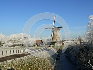 Molen photo