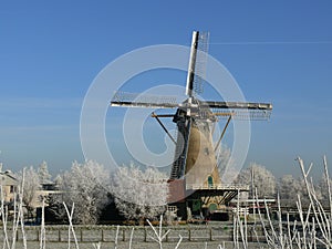 Molen photo