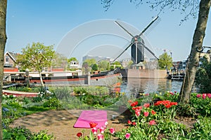 Molen De Put windmill and cityscape with exercise yoga mat below