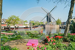 Molen De Put windmill and cityscape with exercise yoga mat below photo