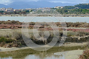 Molentargius park with salt flats. Body of water in Cagliari with bushes and canals.