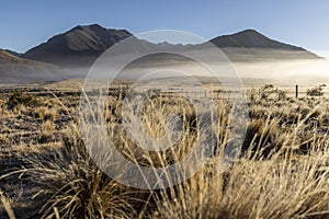 Molesworth Station, morning Mist, NZ