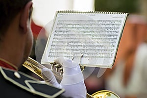 MOLINA DE SEGURA, SPAIN - Mar 27, 2016: musician photo