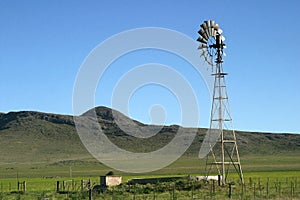 Molino de campo_0007.