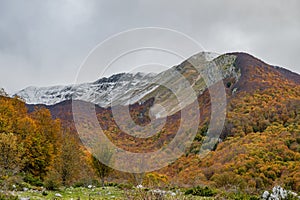 Molise, Mainarde. Autumn landscape. Foliage