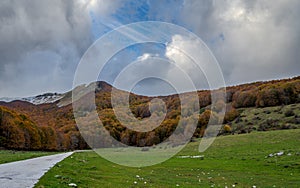 Molise, Mainarde. Autumn landscape. Foliage