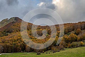 Molise, Mainarde. Autumn landscape. Foliage