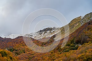 Molise, Mainarde. Autumn landscape. Foliage