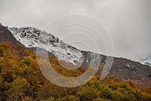 Molise, Mainarde. Autumn landscape. Foliage