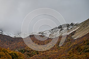 Molise, Mainarde. Autumn landscape. Foliage