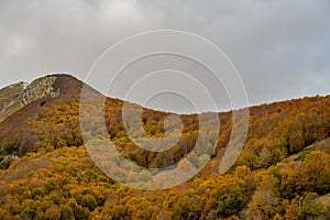 Molise, Mainarde. Autumn landscape. Foliage