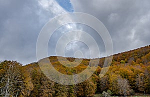 Molise, Mainarde. Autumn landscape. Foliage