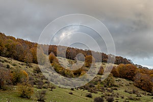 Molise, Mainarde. Autumn landscape. Foliage