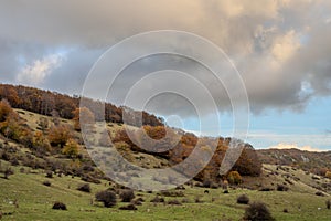 Molise, Mainarde. Autumn landscape. Foliage