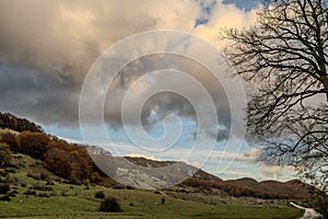 Molise, Mainarde. Autumn landscape. Foliage