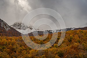 Molise, Mainarde. Autumn landscape. Foliage