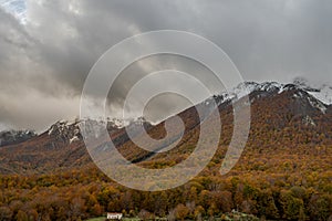 Molise, Mainarde. Autumn landscape. Foliage