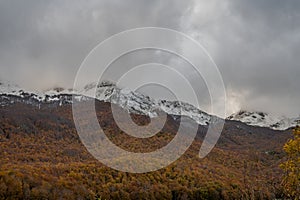 Molise, Mainarde. Autumn landscape. Foliage