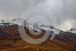 Molise, Mainarde. Autumn landscape. Foliage