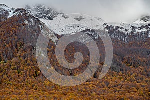 Molise, Mainarde. Autumn landscape. Foliage