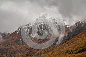 Molise, Mainarde. Autumn landscape. Foliage