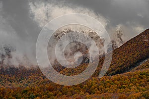 Molise, Mainarde. Autumn landscape. Foliage