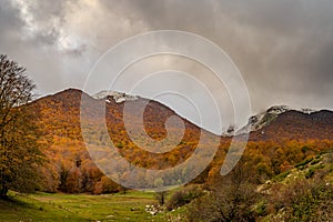 Molise, Mainarde. Autumn landscape. Foliage