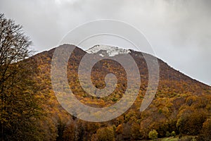 Molise, Mainarde. Autumn landscape. Foliage