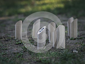 Molkky : Finnish family outdoor throwing game. Numbered wooden pieces or skittles in the grass