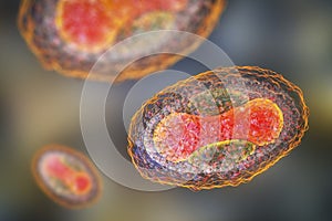 Molluscum contagiosum virus, 3D illustration photo