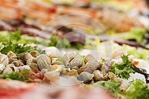 Mollusks on fish with salad photo