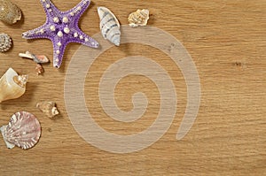 Mollusks on wooden table close up. Seashells on an old wooden table with copy space for text