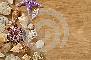 Mollusks on wooden table close up. Seashells on an old wooden table with copy space for text