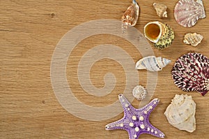 Mollusks on wooden table close up. Seashells on an old wooden table with copy space for text