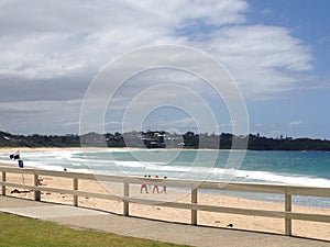 Mollymook beach scene sand ocean