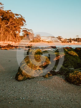 Mollymook beach during sunrise, South Coast, NSW, Australia.