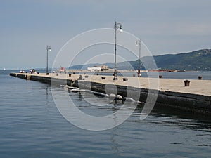 Molo Audace pier in Trieste photo