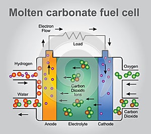 Molten carbonate fuel cells. Education infographic. Vector design.