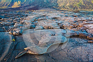 Molten cooled lava landscape