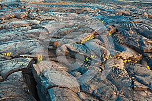 Molten cooled lava landscape