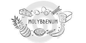 Molybdenum-containing food. Groups of healthy products containing vitamins and minerals. Set of fruits, vegetables