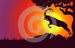 Horoscope symbol on sunset landscape background