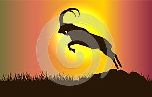 Mountain goat silhouette in gradient sunset background