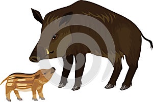 Mom and baby. European wild boar Sus scrofa with piglet