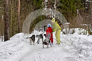 Mom and baby protect themselves from stray dogs in winter forest