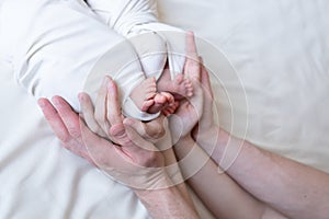 Mom and dad hands hold small legs of their two newborn twin babies