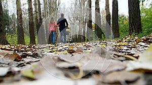 Mom and Dad are walking in the woods with a newborn baby