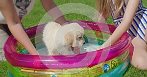 Mom and daughter bathe a fluffy puppy in a small inflatable pool