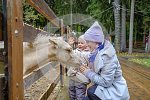 Mom and daughter caress the face of a foal at the petting zoo.