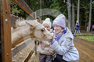 Mom and daughter caress the face of a foal at the petting zoo.